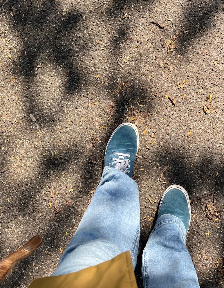 verkenning noordrand & hoekse park