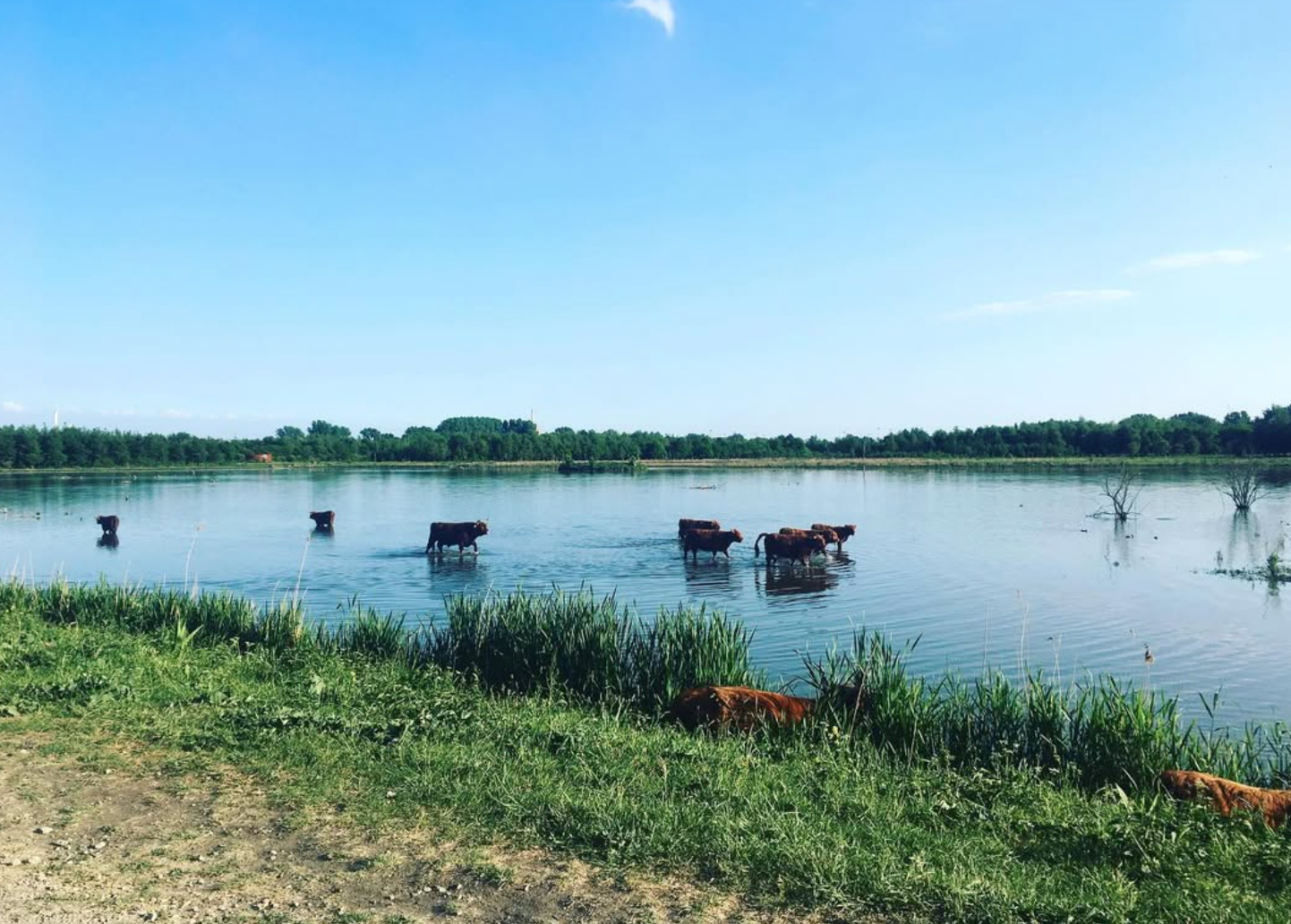 Wandel event 7 september: Van Vijfsluizen naar Vlaardingen-Holy