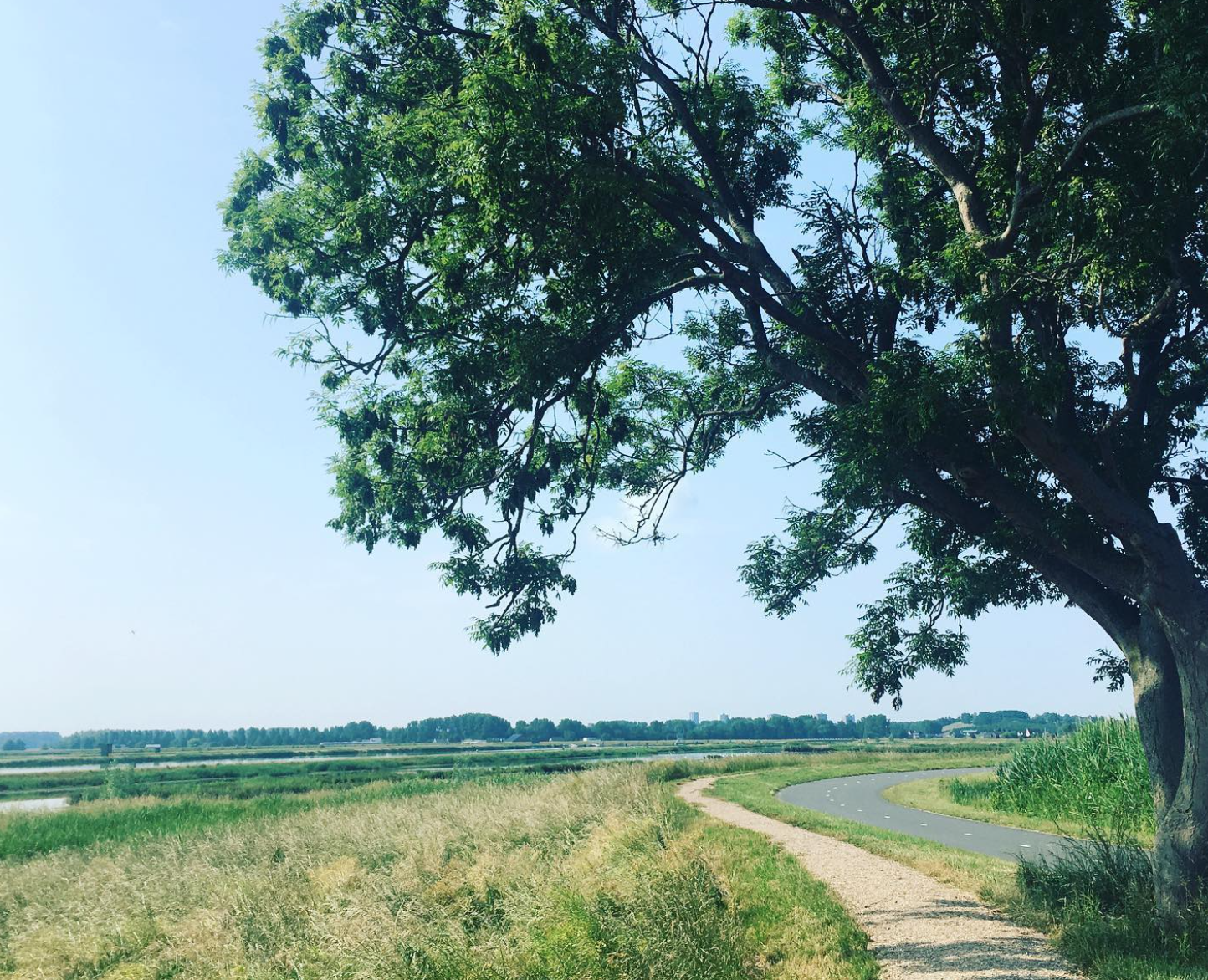 Wandel event 3 mei: van rodenrijs naar nesselande