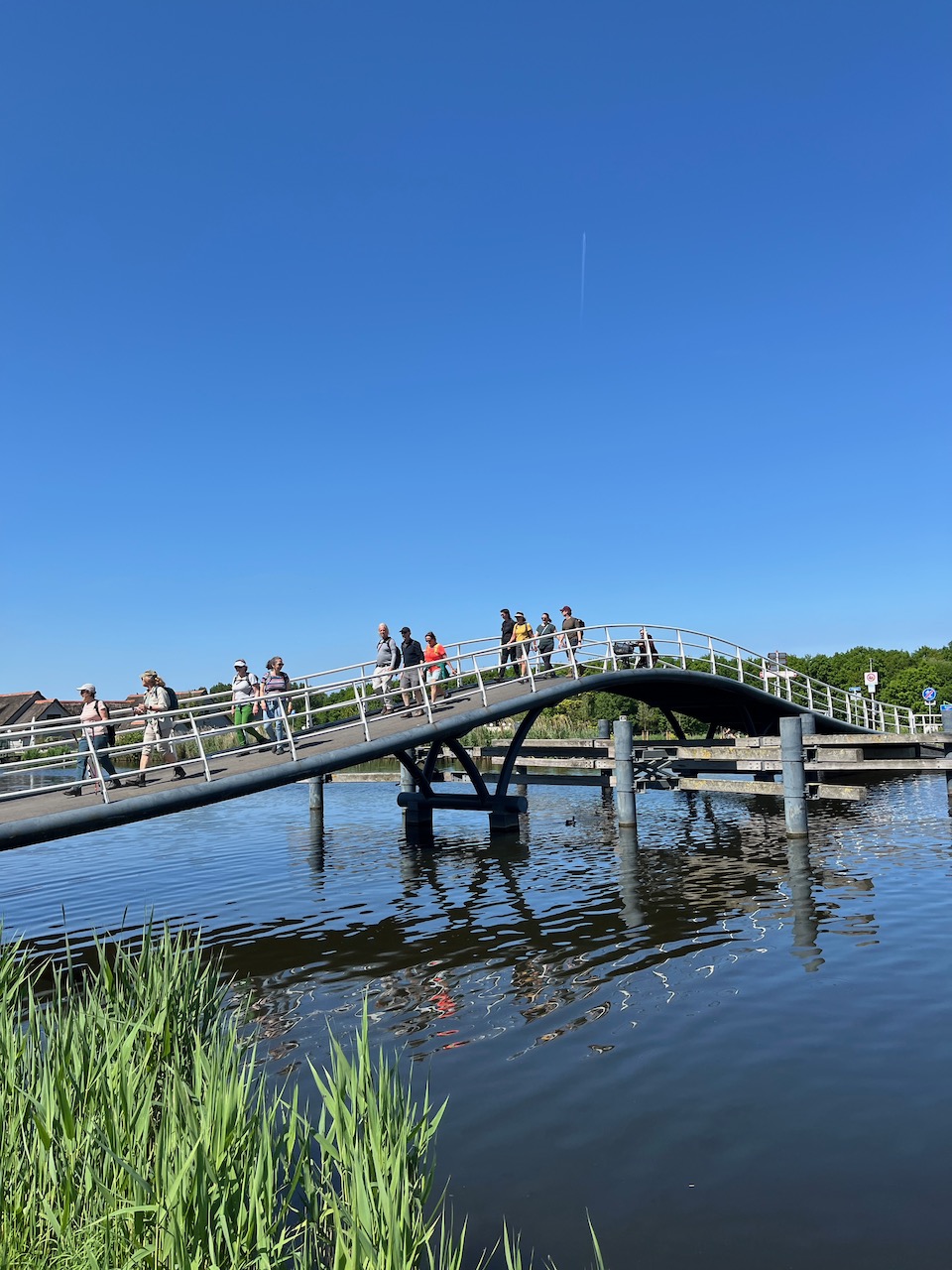 zo 2/11 Clean-Up Walk op het Rotterdams Ommelandpad!