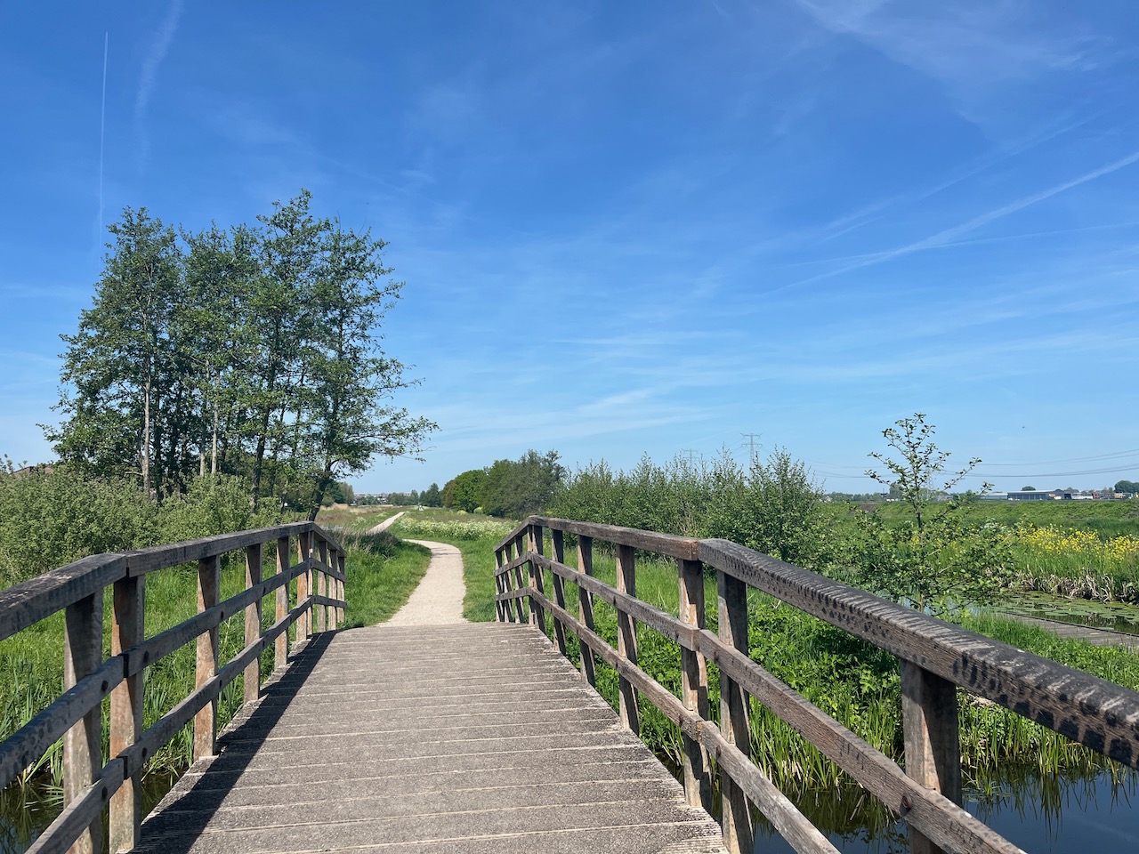Wandel event 24 mei: van nesselande naar natuureiland de zaag