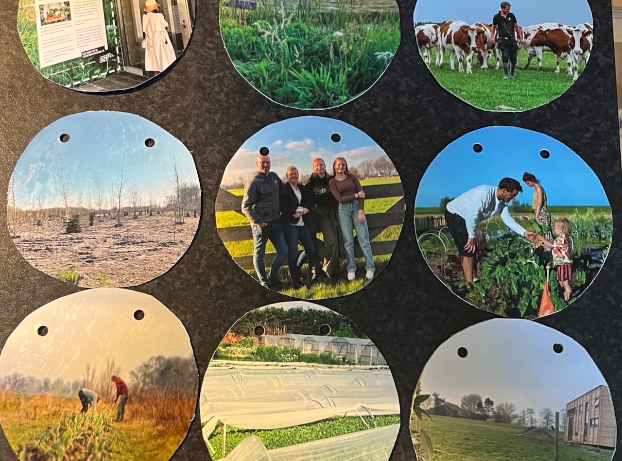 Ommelandparels tussen rodenrijs & Nesselande