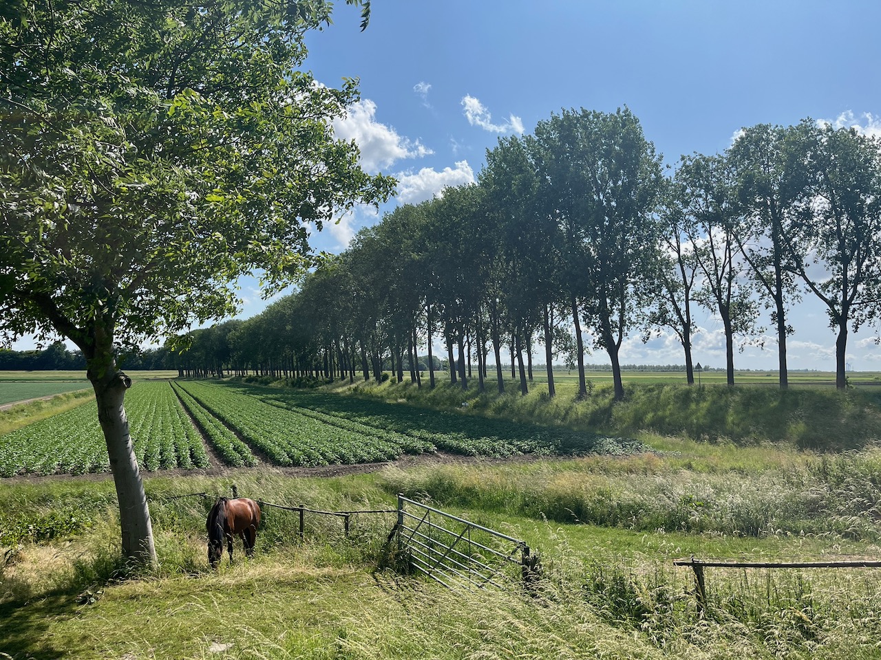 Wandel Event 23 augustus: Van Carnisselande naar Pernis