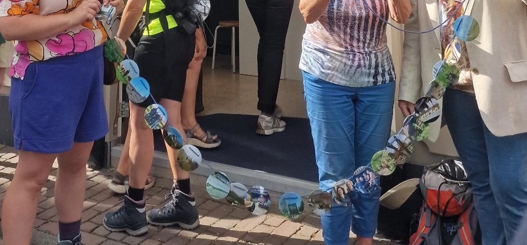 Ommelandparels tussen Hendrik-Ido-Ambacht en Carnisselande