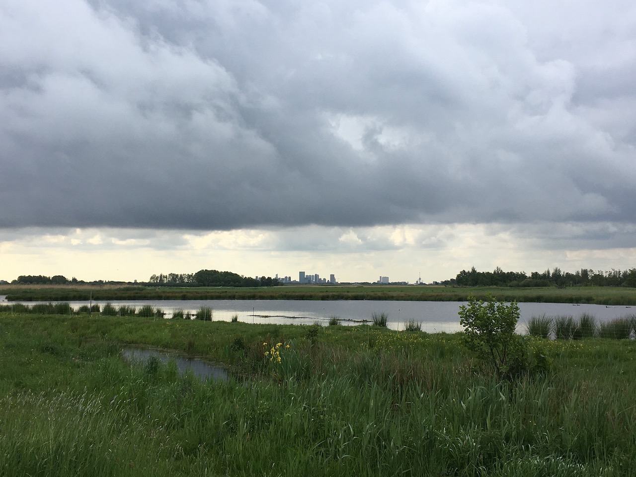 Wandel event Zondag 28 september: van Vlaardingen-Holy naar Rodenrijs
